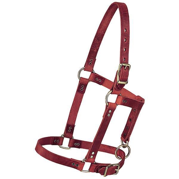 Riveted Halter