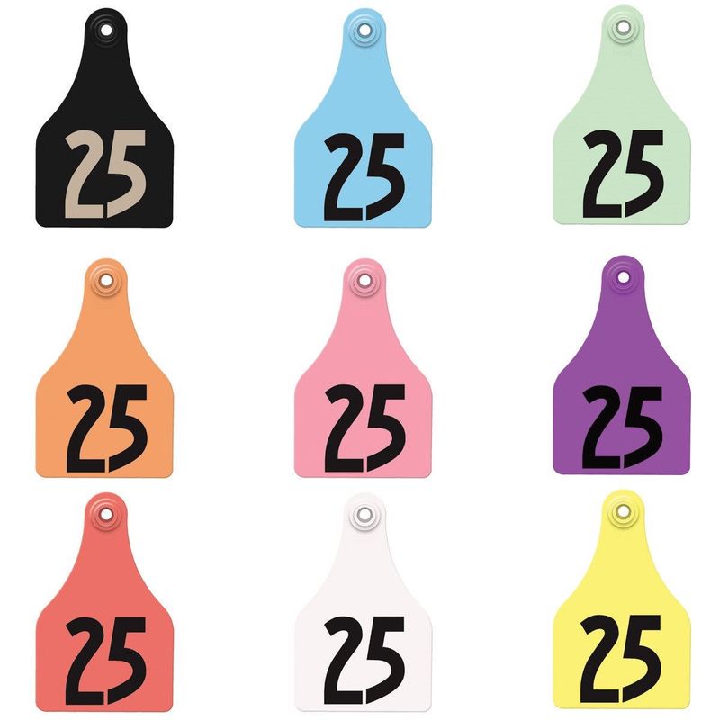 Allflex Maxi Tag Complete- Numbered