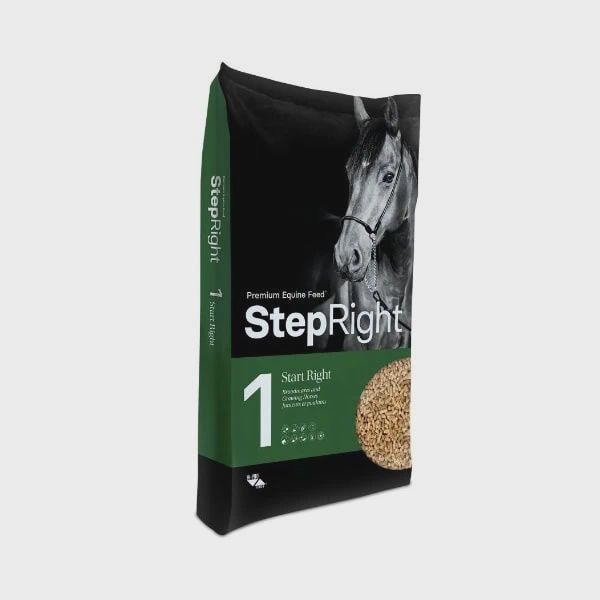 Step 1- Start Right- 20 kg (NEW)