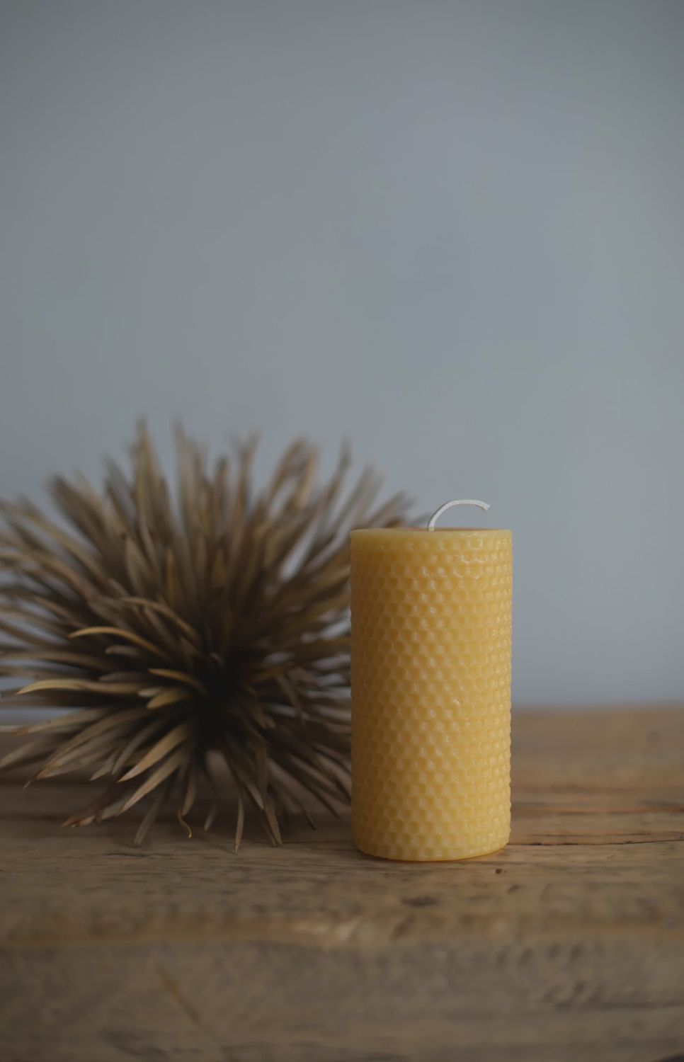 Wild Hive Honeycomb Cylinder Beeswax Candle