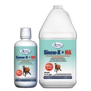 Omega Alpha Sinew-X Plus with Hyaluronic Acid