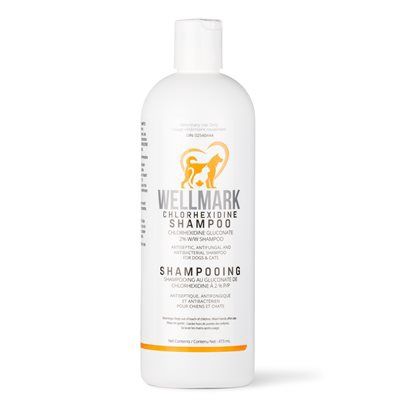 Wellmark Chlorhexidine Shampoo