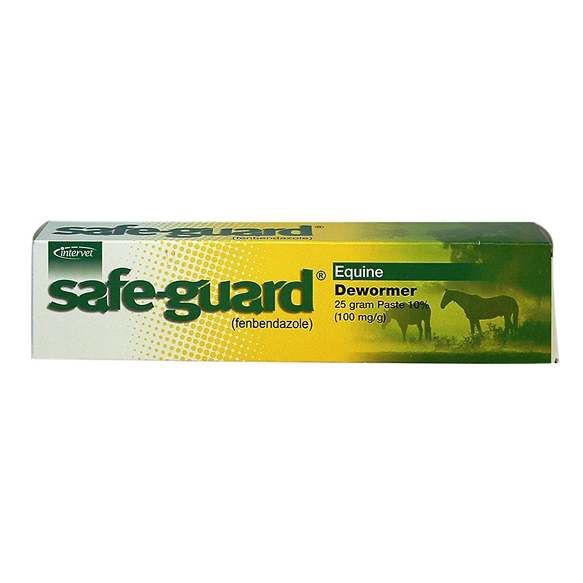 Safe-guard Paste 25g