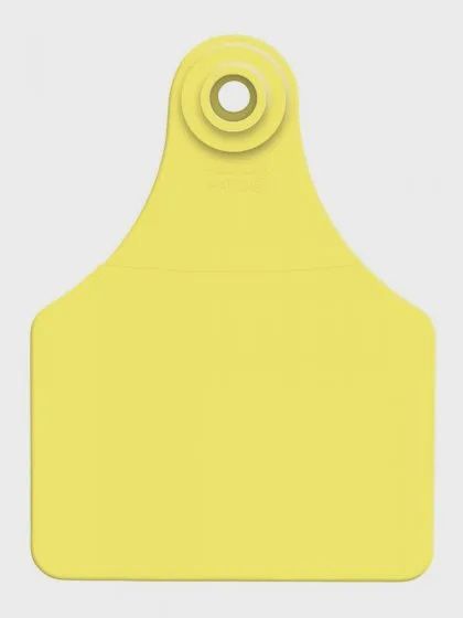 Allflex Large  Blank Tags