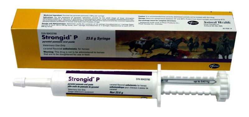 Strongid P Paste 23.6g
