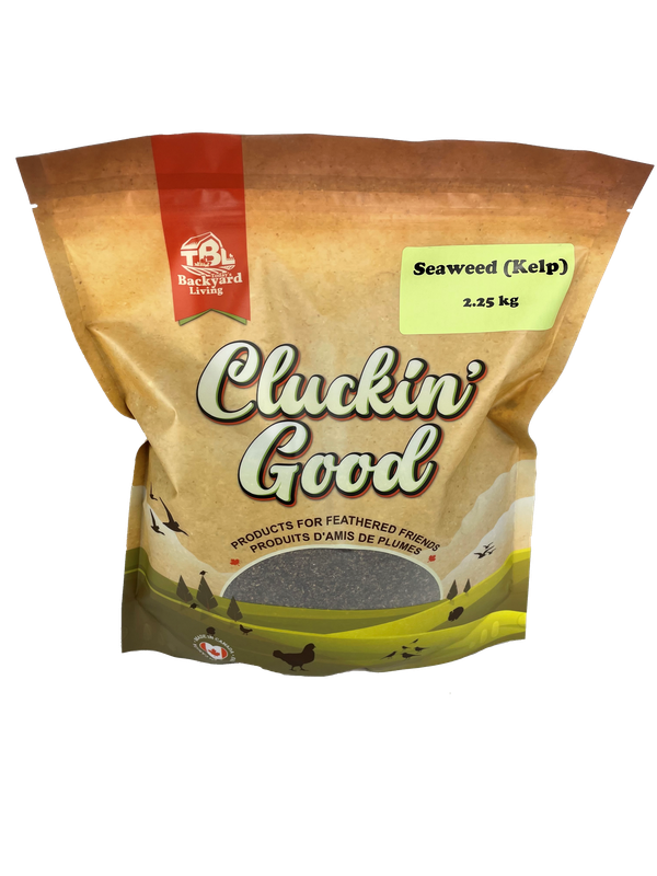 Cluckin Good Seaweed (Kelp)