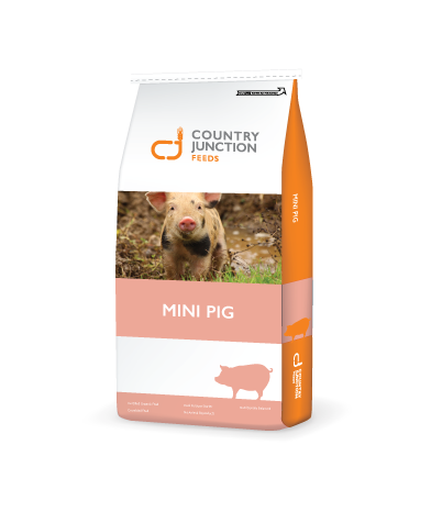 Country Junction Mini Pig Ration- 10kg