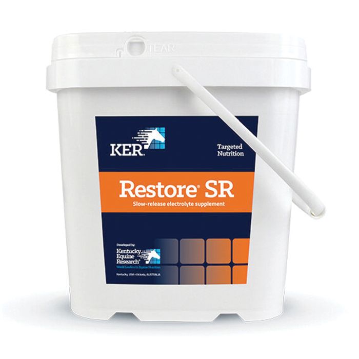 Restore SR