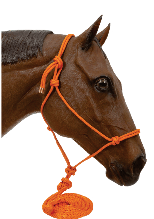 Hi-Brow Rope Halter With Lead
