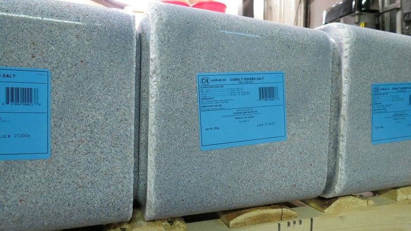 Cobalt Iodized Salt Blok-20kg