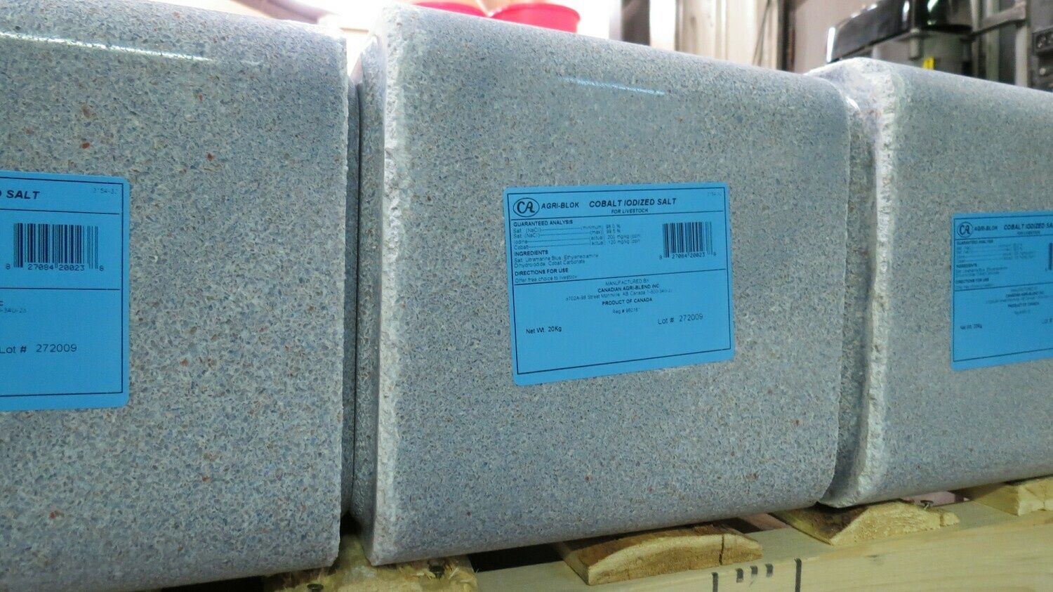 Cobalt Blue Salt Block w/ Garlic