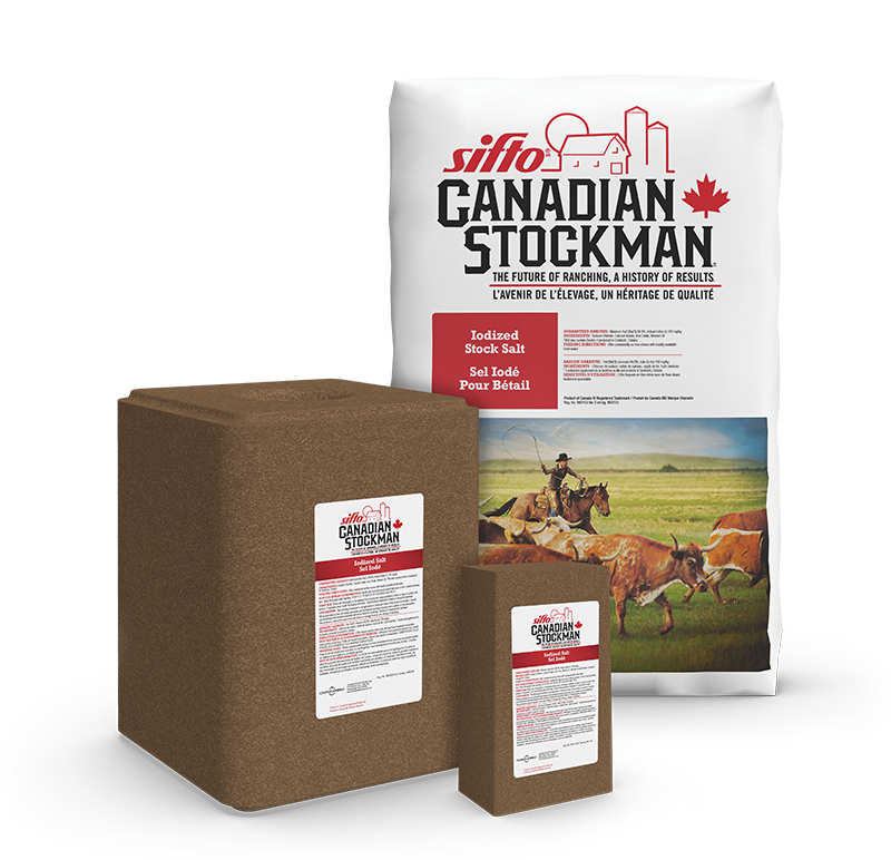 Sifto Canadian Stockman Iodized Stock Salt- 2kg