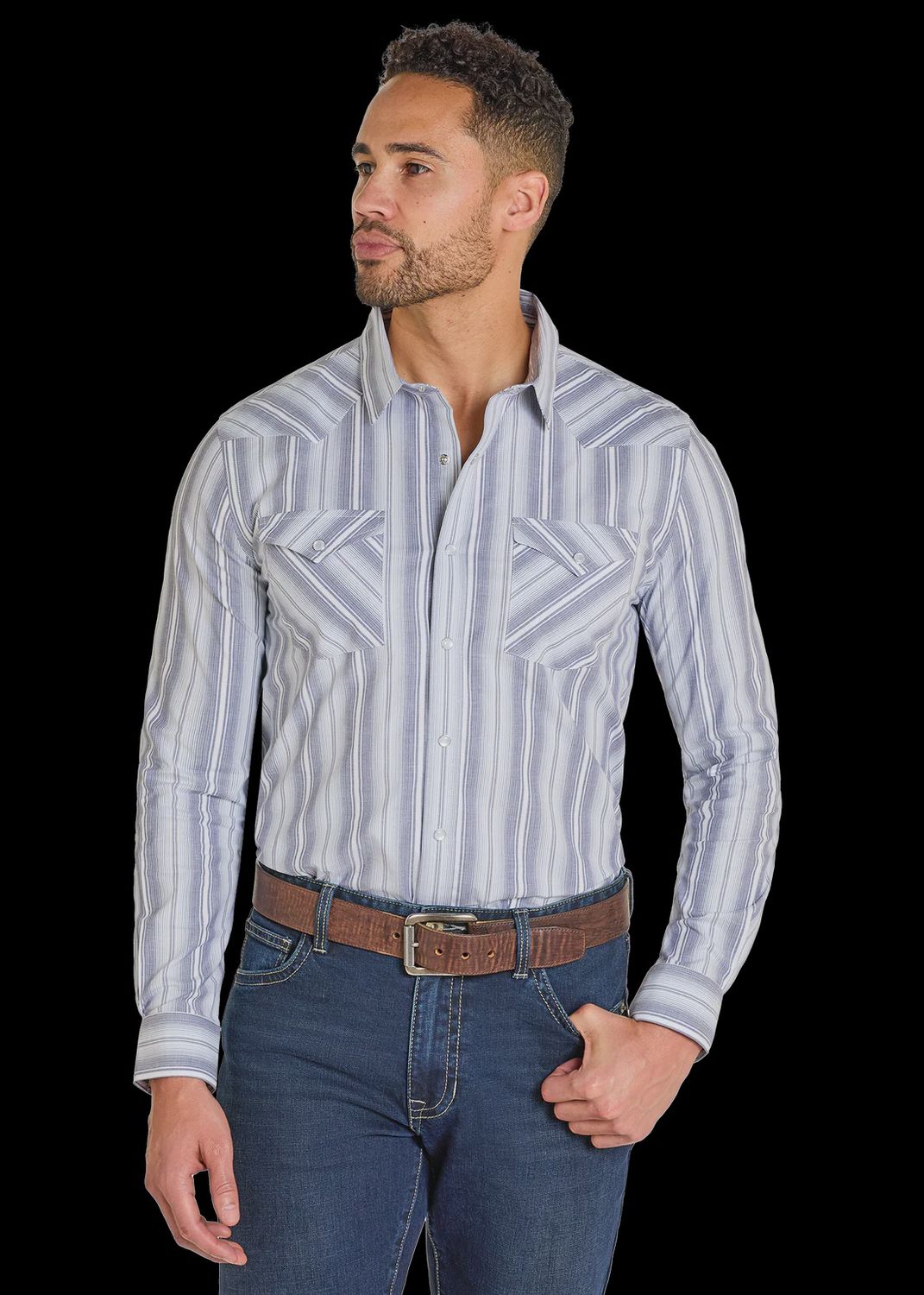 Panhandle Slim Modern Vintage Blue Stripes Long Sleeve Snap Shirt