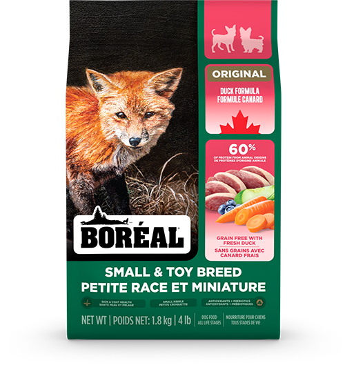 BORÉAL Original Toy &amp; Small Breed Duck