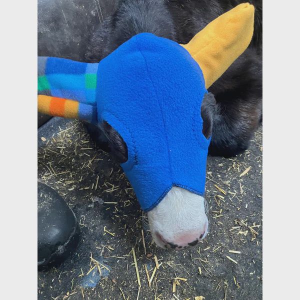 Mooques Calf Touque
