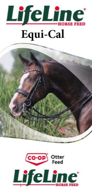 Lifeline Equi-Cal Horse Pellet-20kg