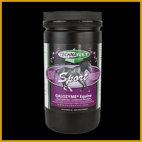 Techna Vet Galozyme Equine Sport Supplement
