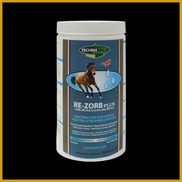 Re-Zorb Plus Equine with BCAA’s (Peppermint)