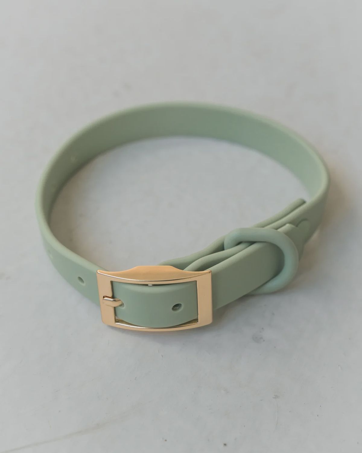 Dexypaws Dog Waterproof  Collar - Sage