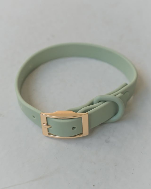 Dexypaws Dog Waterproof  Collar - Sage