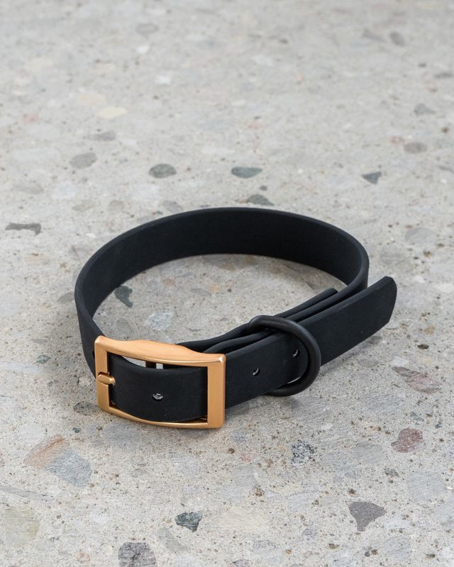 Dexypaws Dog Waterproof  Collar - Black