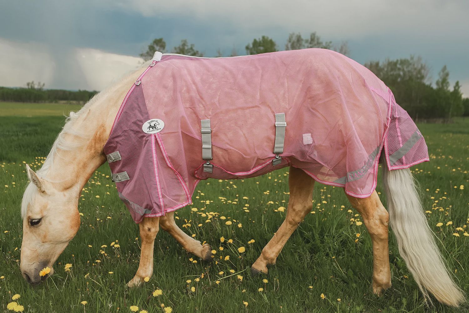 Alliance Equine Buzz Off Fly Sheet