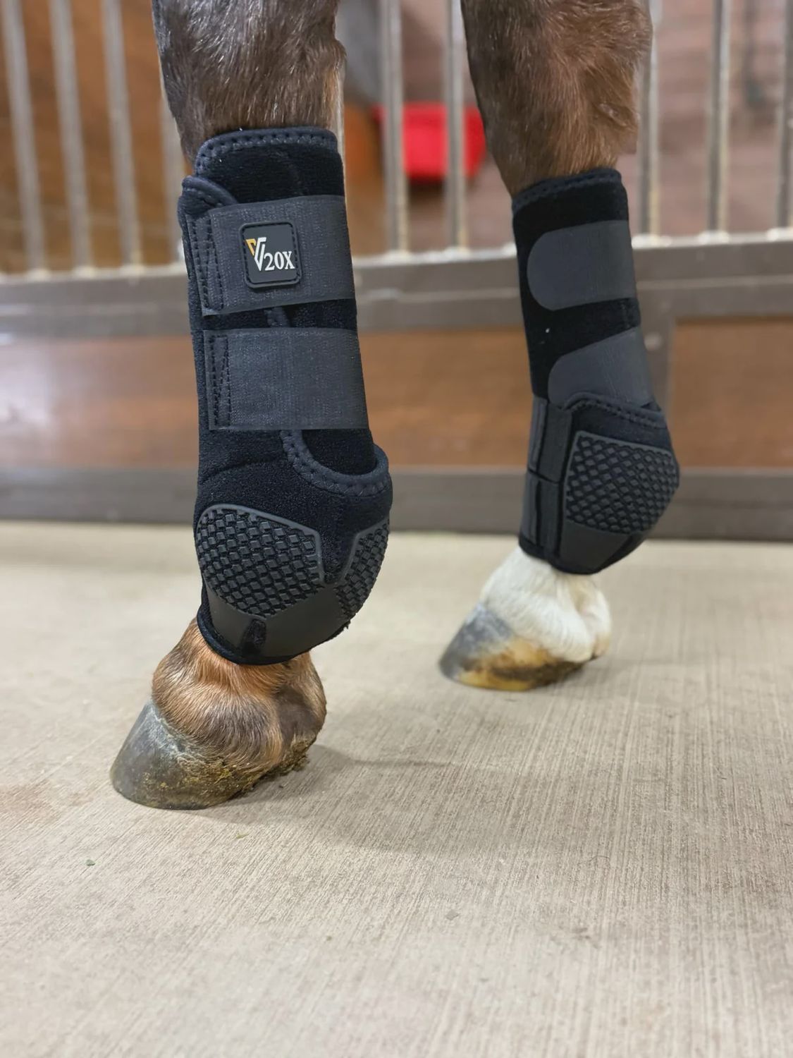 Alliance Equine V20x FRONT Sport Protective Boot