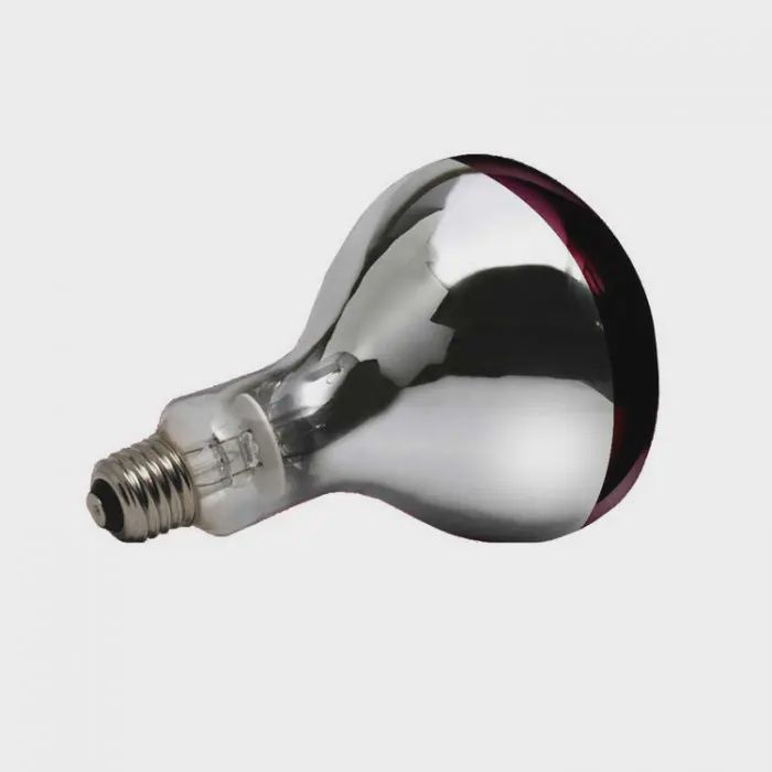 InterHeat 2 Pack 250wt Infrared Bulbs