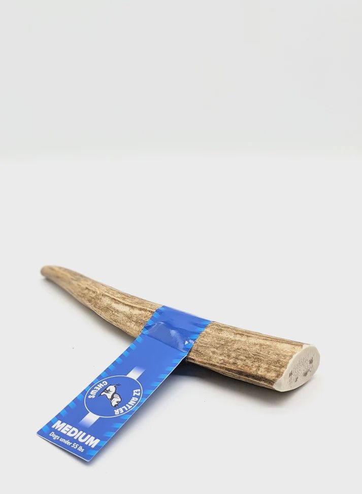 EZ Antler Chews Elk - Medium Whole