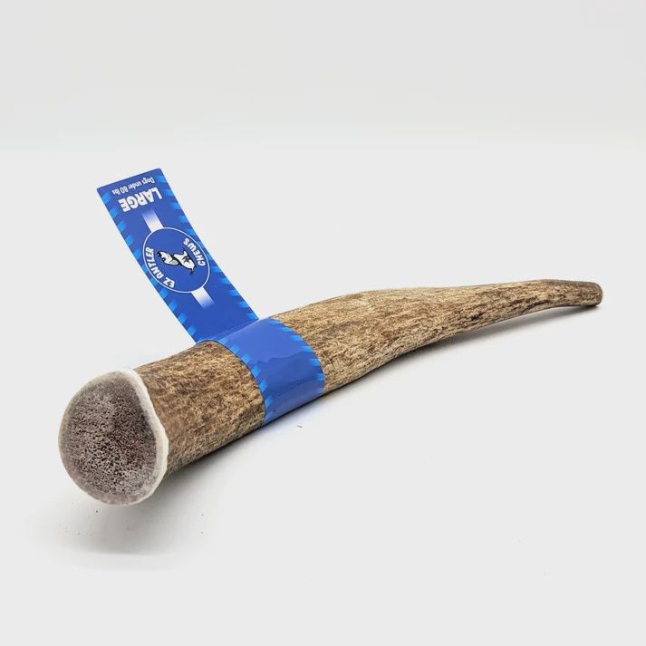 EZ Antler Chews Elk - Large Whole