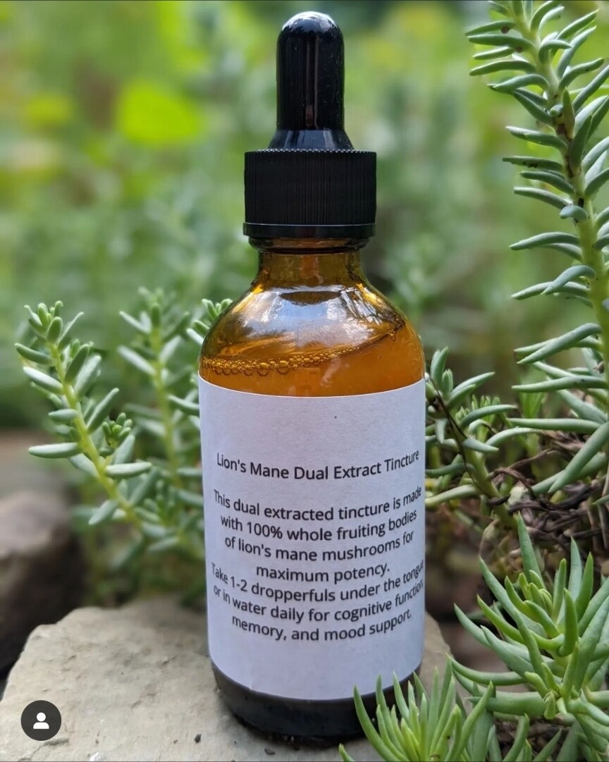 Lions Mane Tincture ( Dual Extracted ) 2 oz