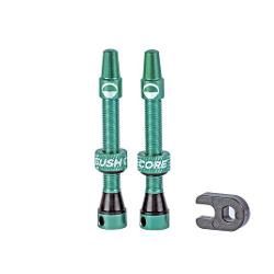 CUSHCORE TUBELESS VALVE (PAIR), Size: 44mm