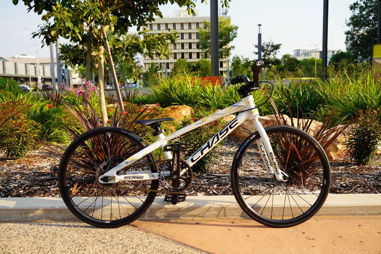CHASE Edge Micro-Mini BMX BIKE