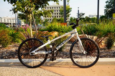 CHASE Edge Micro-Mini BMX BIKE
