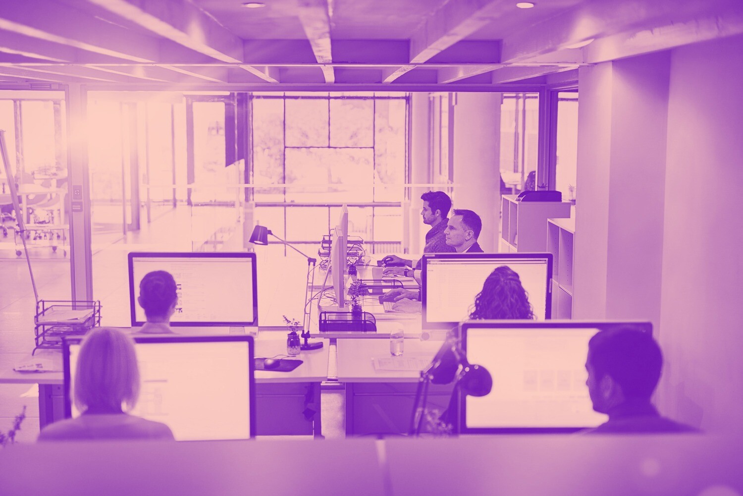 SOFTWARE ANALYST &amp; TESTER