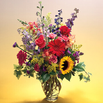 Burst of Color