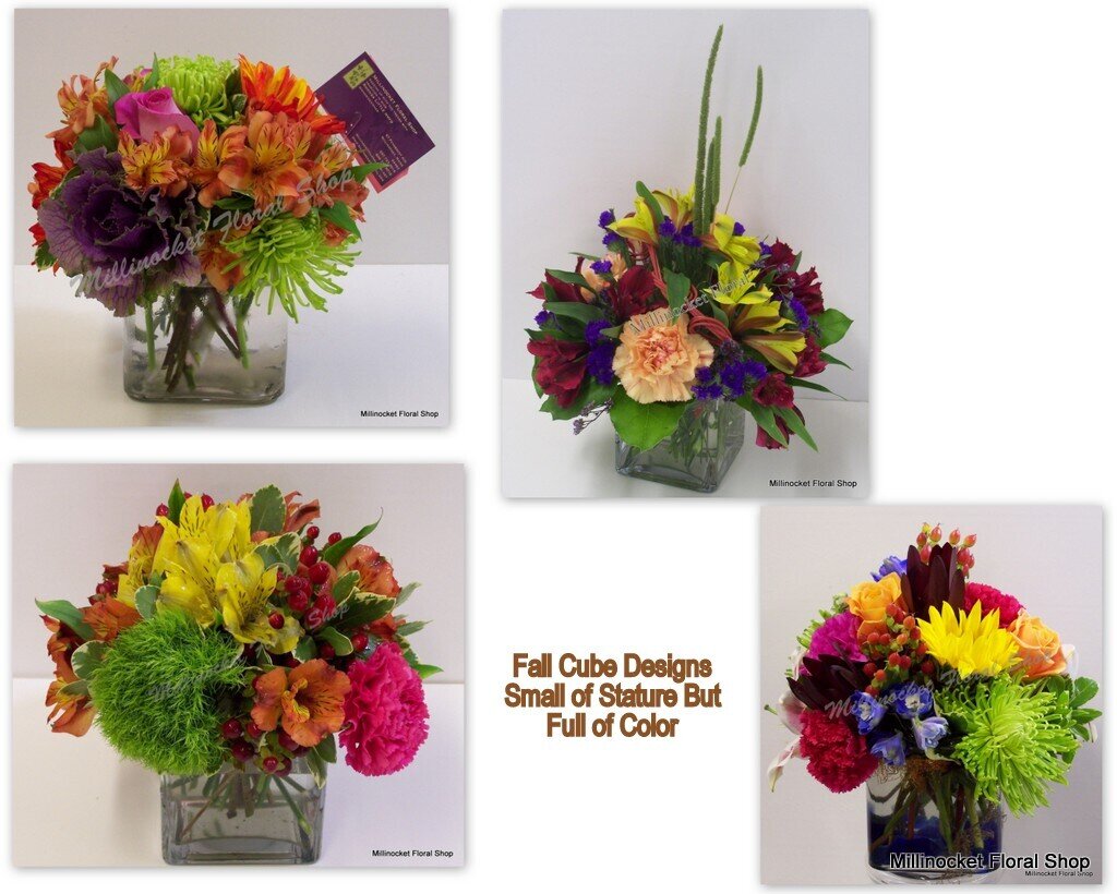 Fall Cube Design Deluxe