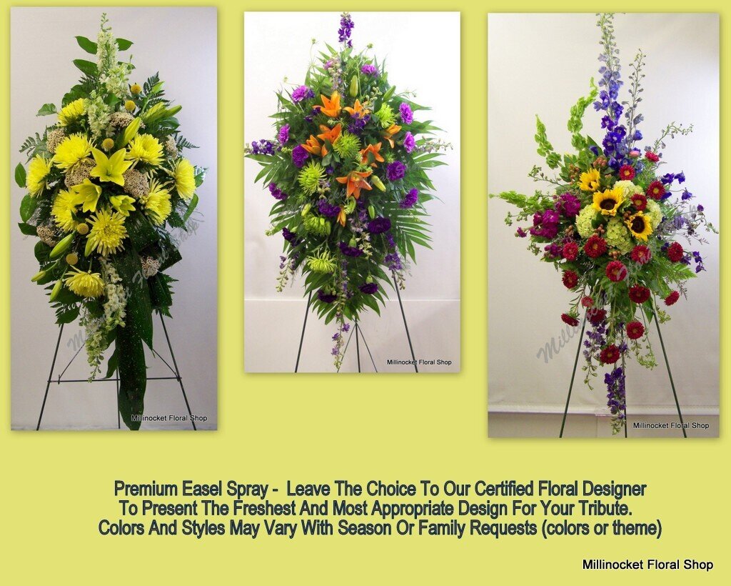 Easel Spray Designers Choice Premium ( Must call to order)