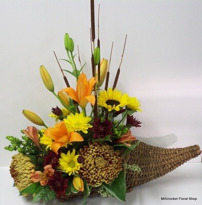 Cornucopia Premium