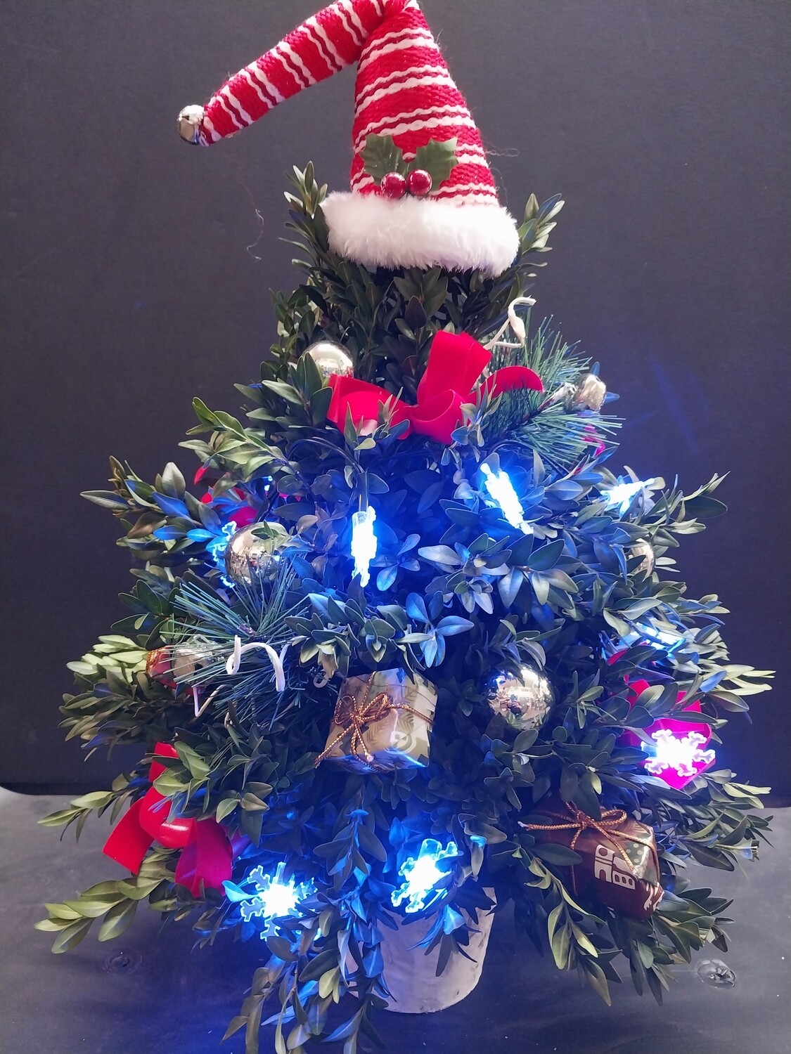 Boxwood Tree With Lights boxwood-tree-with-lights