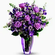 Purple roses Available Wed 2-11