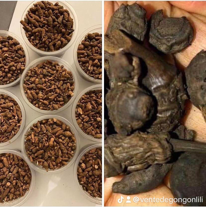 Stop Règles douloureuses 