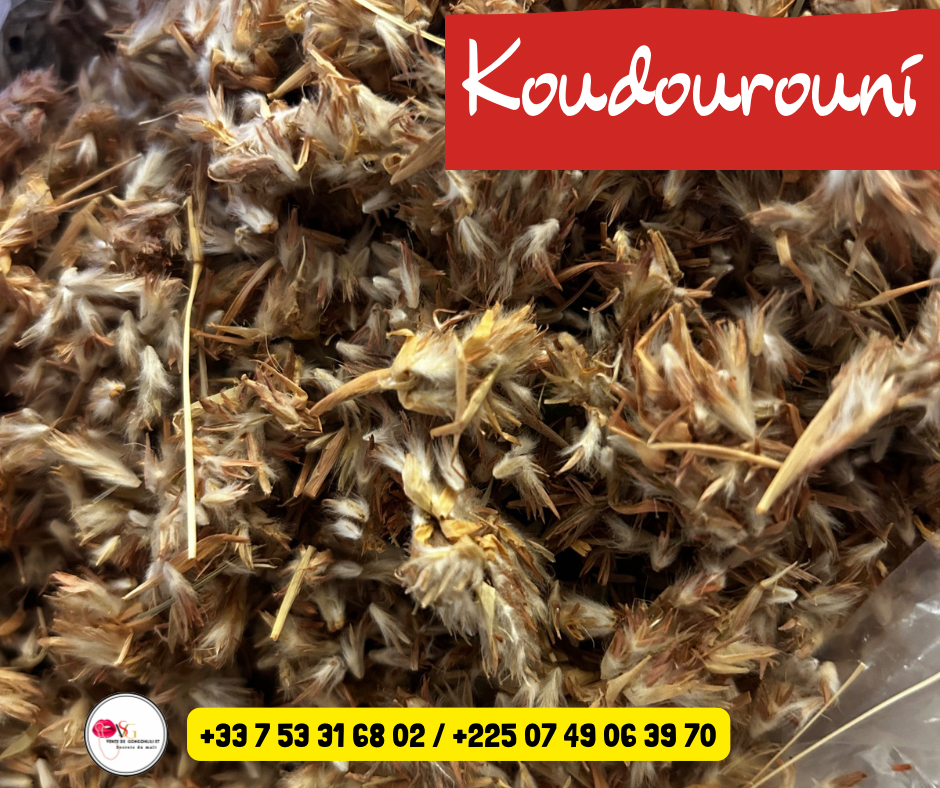 Koudourouni