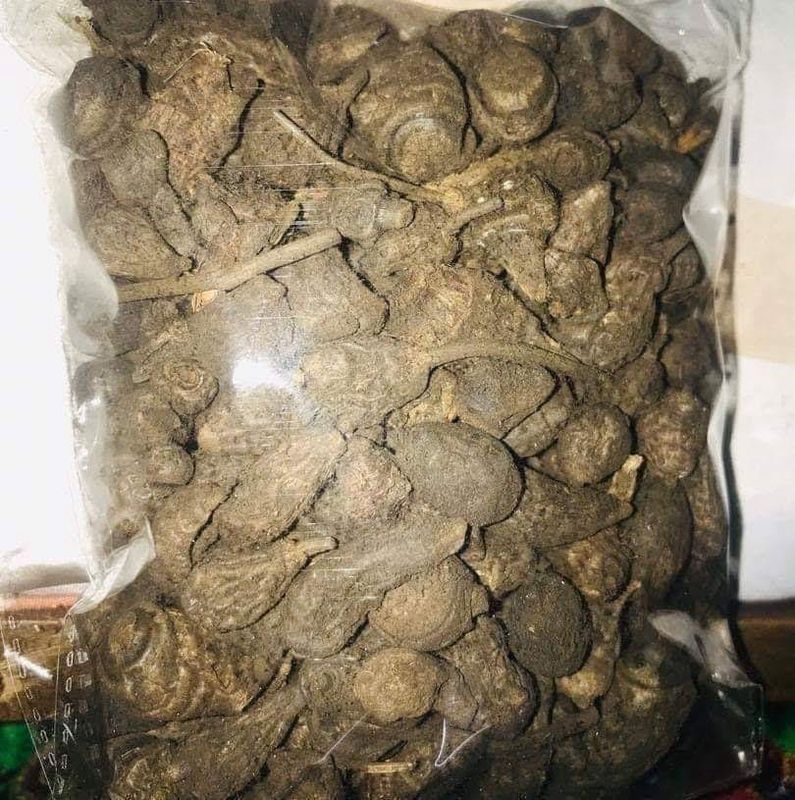 2P DJEKA + 1P GUÉNI  + 20T KHAMARE 