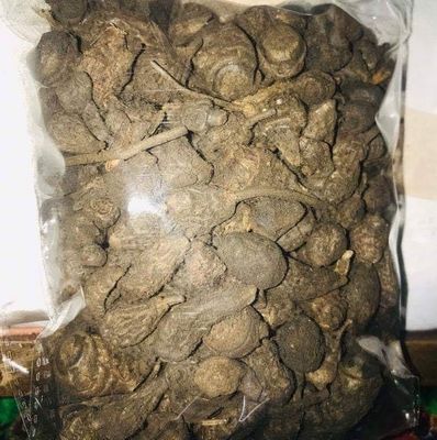 2P DJEKA + 1P GUÉNI  + 20T KHAMARE 