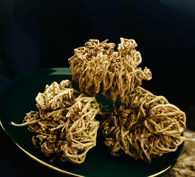 Fleur Miraculeuse de JERICHO