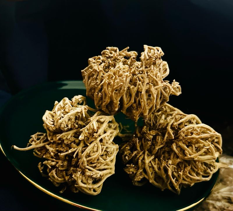 Fleur Miraculeuse de JERICHO