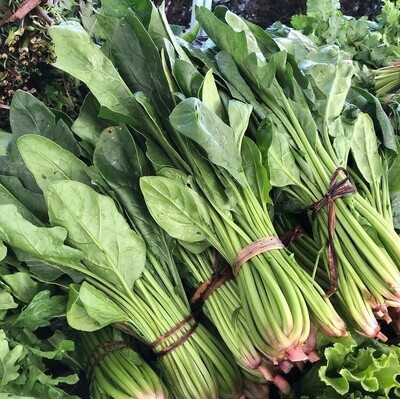 Spinach - bu