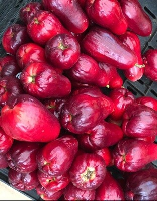 Mountain Apple - lb