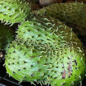Soursop - lb